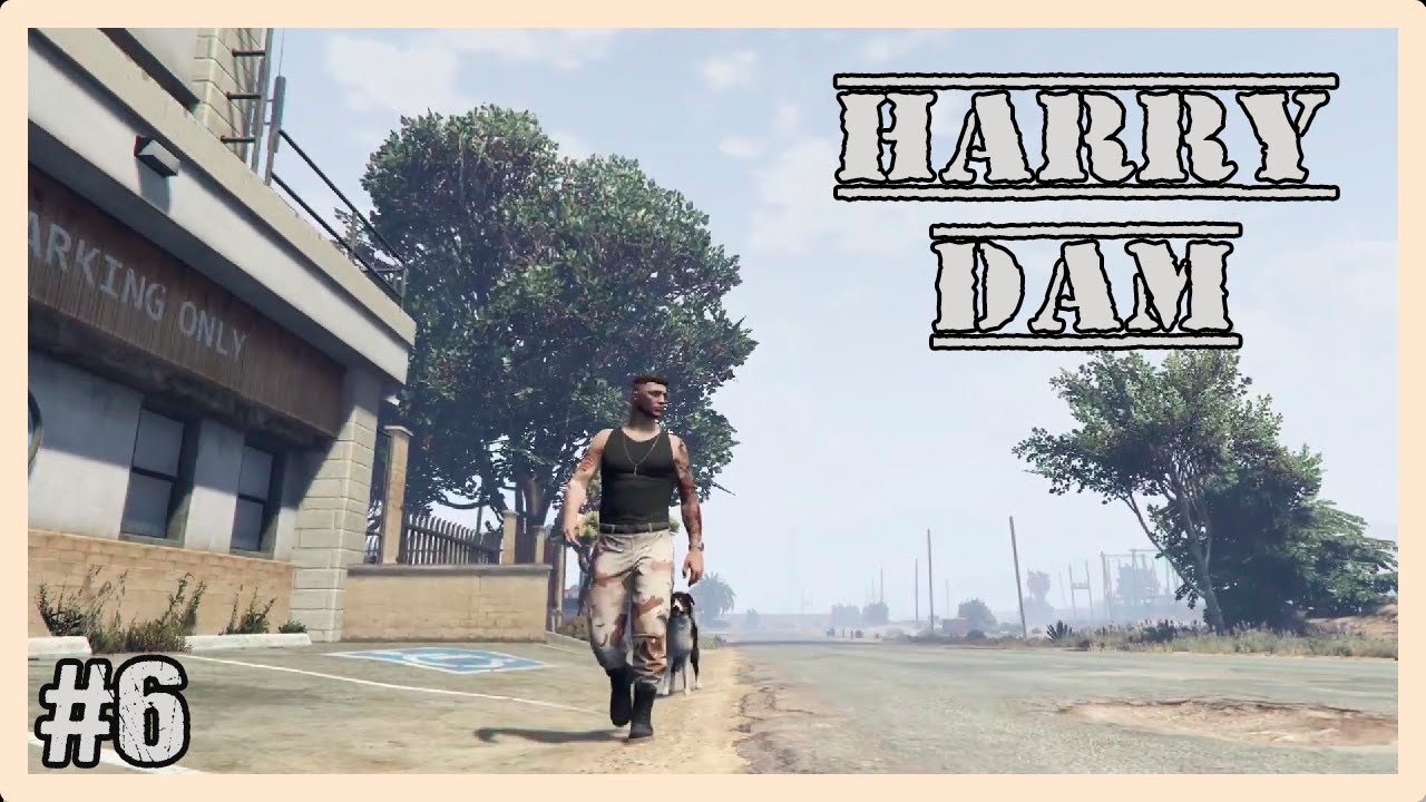 HARRY DAM #6 | LA GRAN DECEPCIÓN | THE SHERIFF | OrigenLS