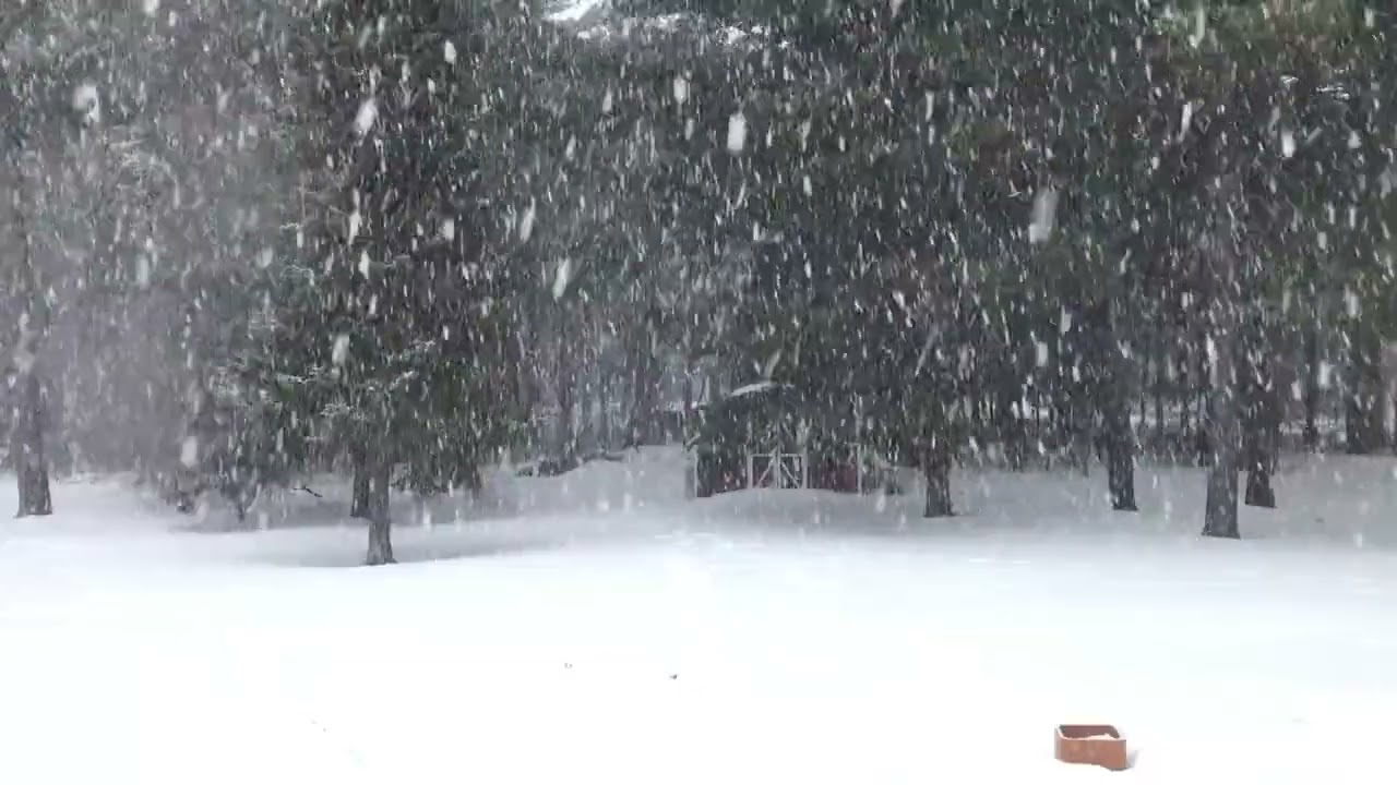 Snow so slow James Gray