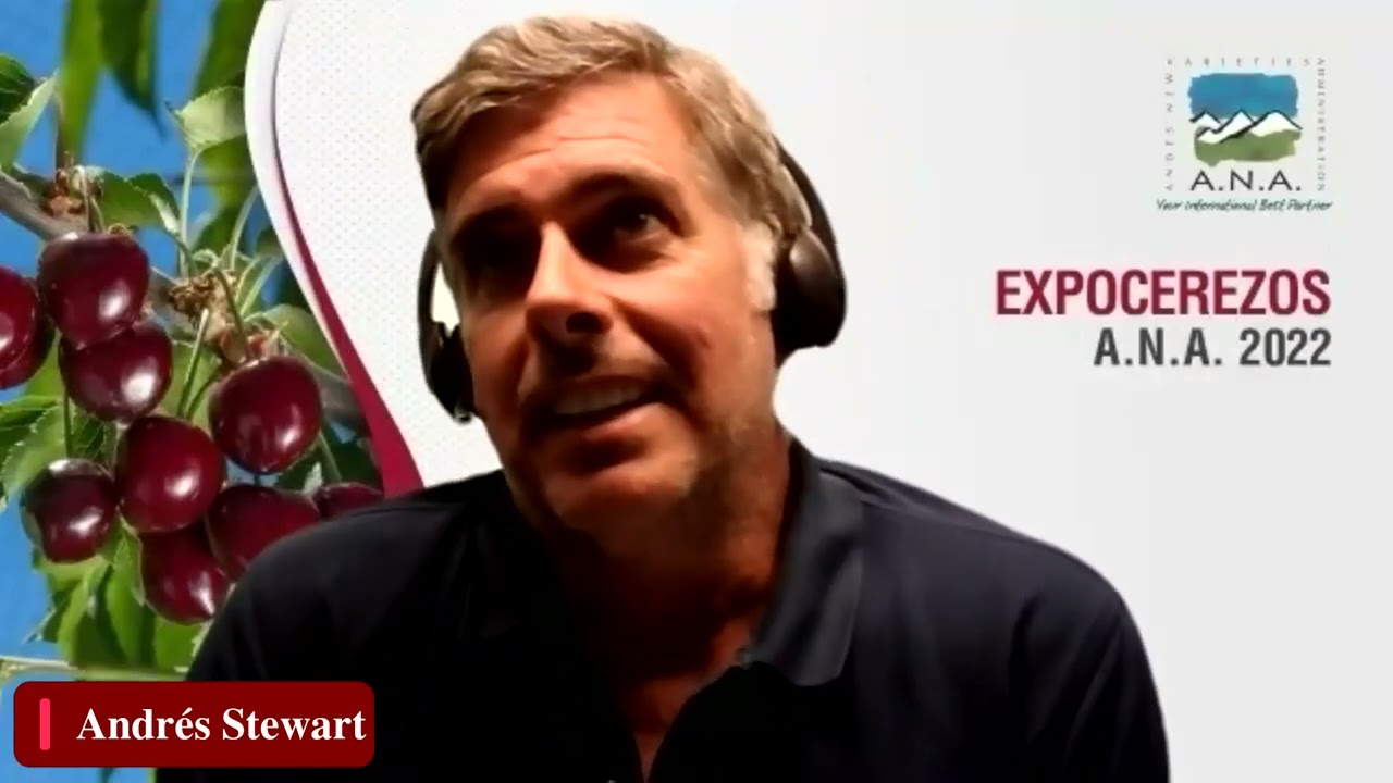 Conversación con Frutaria España: Experiencia con variedades Nimba, y Pacific red en producción.