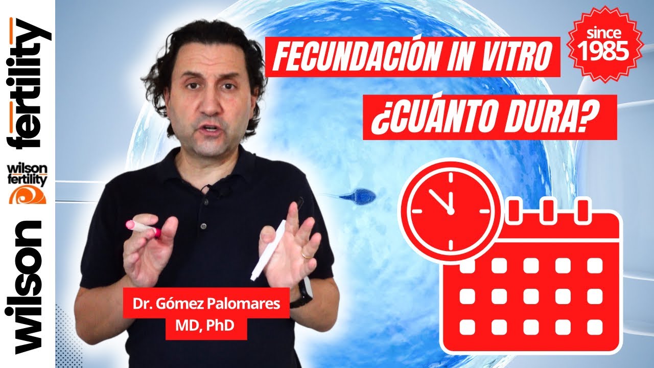 ¿Cuánto dura un tratamiento de reproducción asistida?