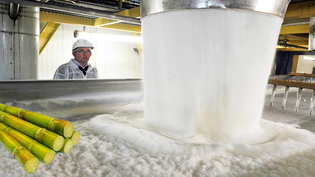 How Sugar Is Made from Sugarcane | Amazing Sugar Factory Process