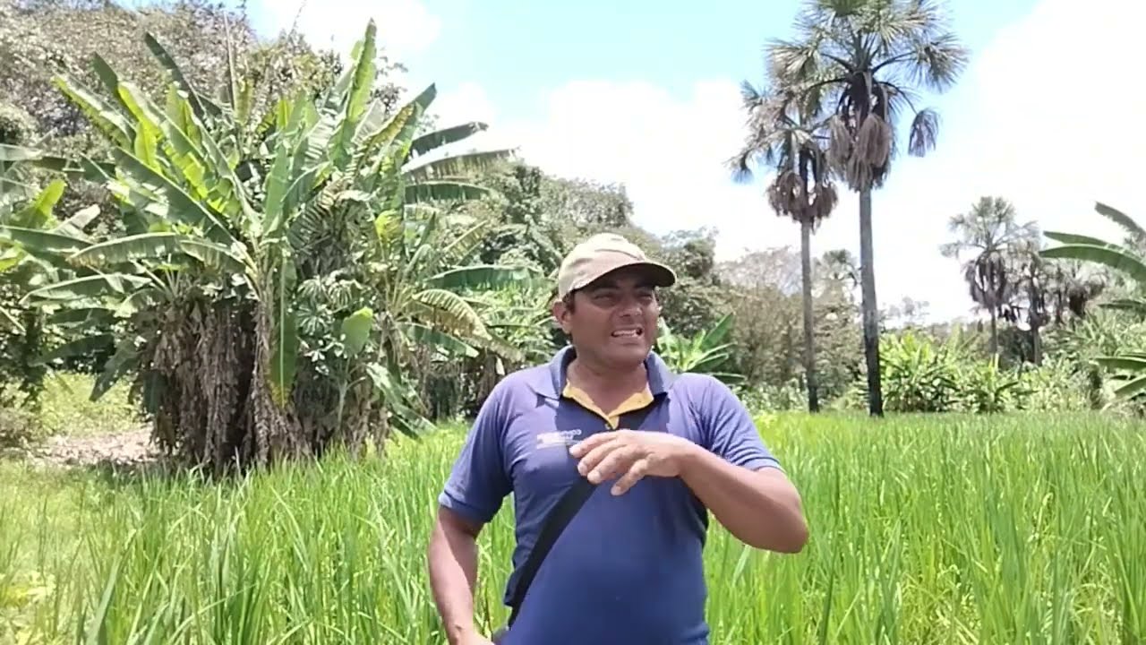 sítio 5 hectares R$ 210,000 mil 12km Gao Mogol MG Norte minas gerais  zap 38)999860758 Daniel