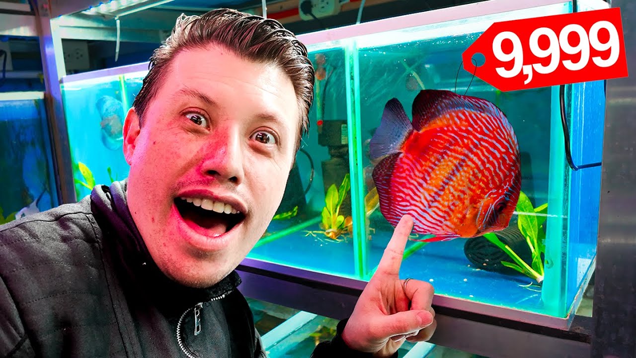 Mercado de Peces Mixiuhca con todo y precios 2025 - marioBLOGS