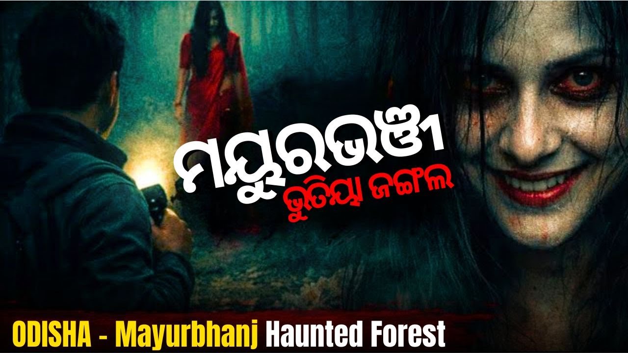 ମୟୁରଭଞ୍ଜ ଭୁତିୟା ଜଙ୍ଗଲ | ODISHA - Mayurbhanj Haunted Forest | Odisha Horror Story | Sunday Toon