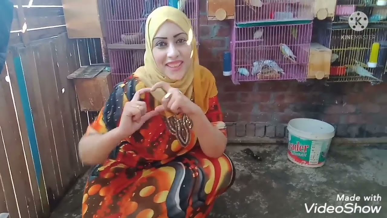 اخيرانضفت عند عصافيرى الفديو المنتظر  متنسوش الايك والاشتراك حبايبى 💕