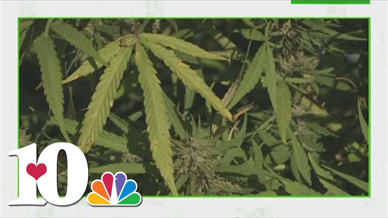 VERIFY: Is weed a performance-enhancing drug?
