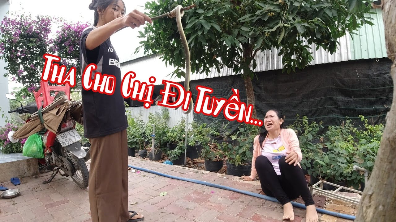 Thùy CàLem Lại Khóc Nửa Rồi