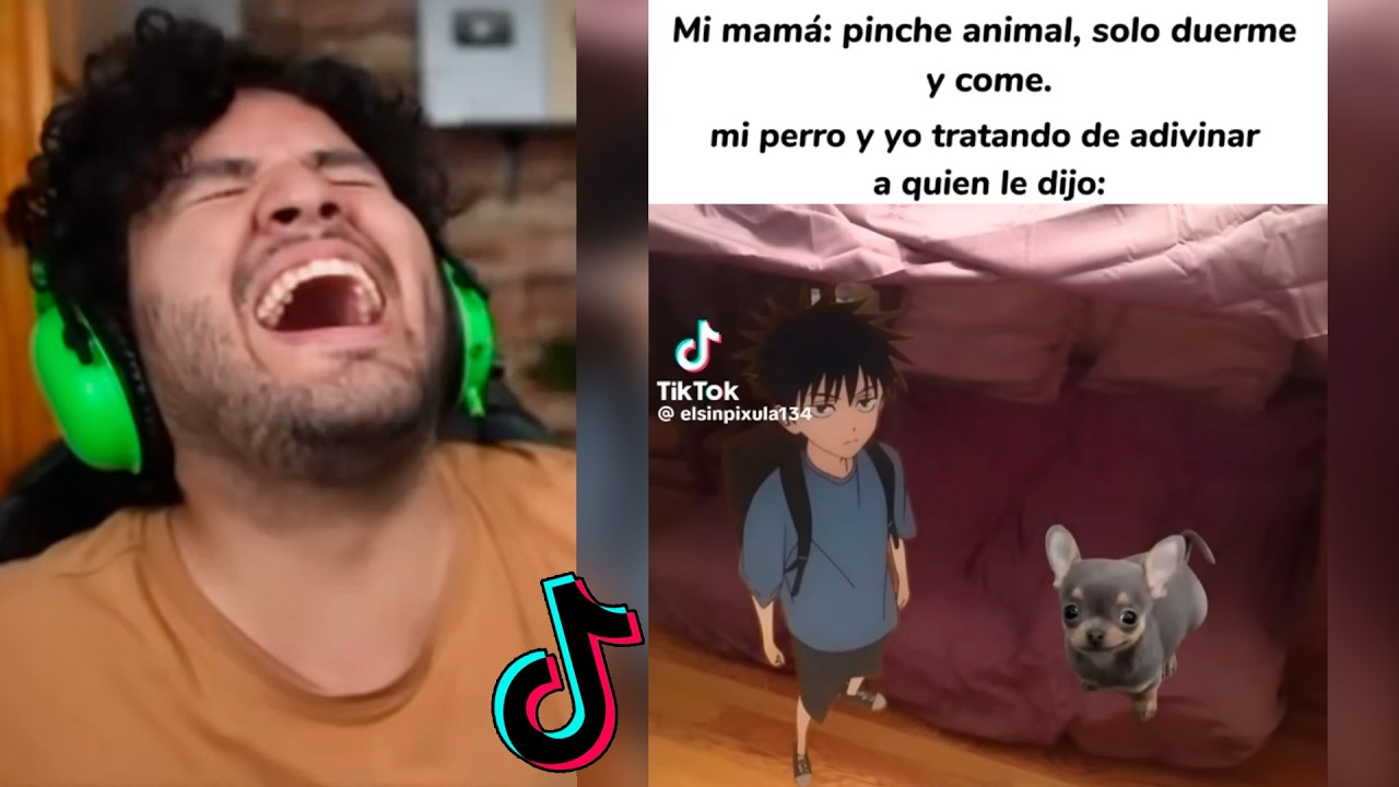 TIK TOKS TAN XD que SALDRAS DE LATAM ✈️