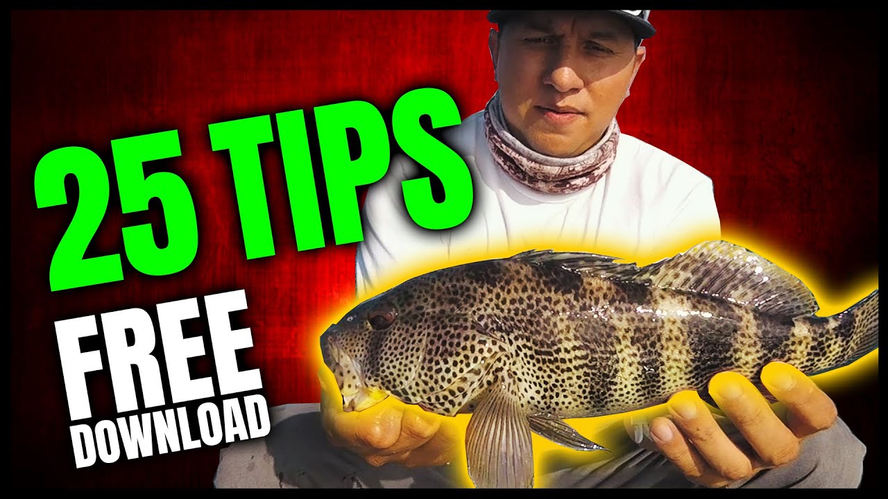 Spotted Bay Bass Fishing Tips Revealed