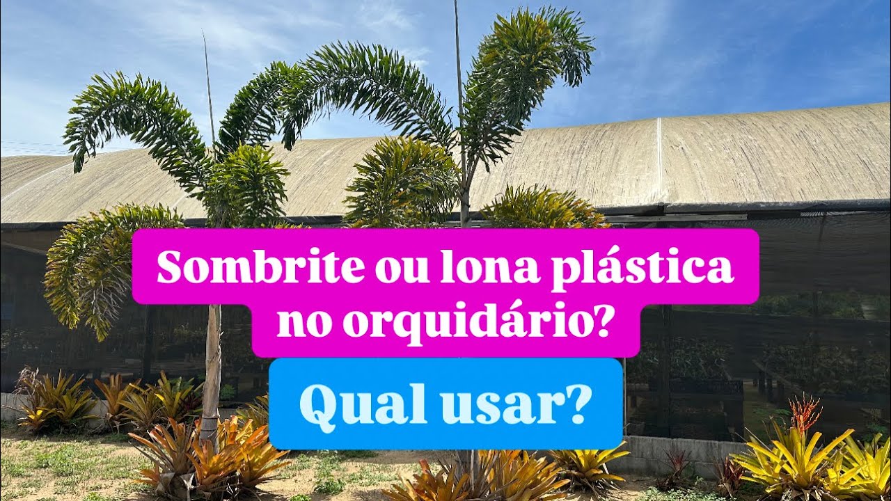 QUAL SOMBRITE USAR NO ORQUIDÁRIO?
