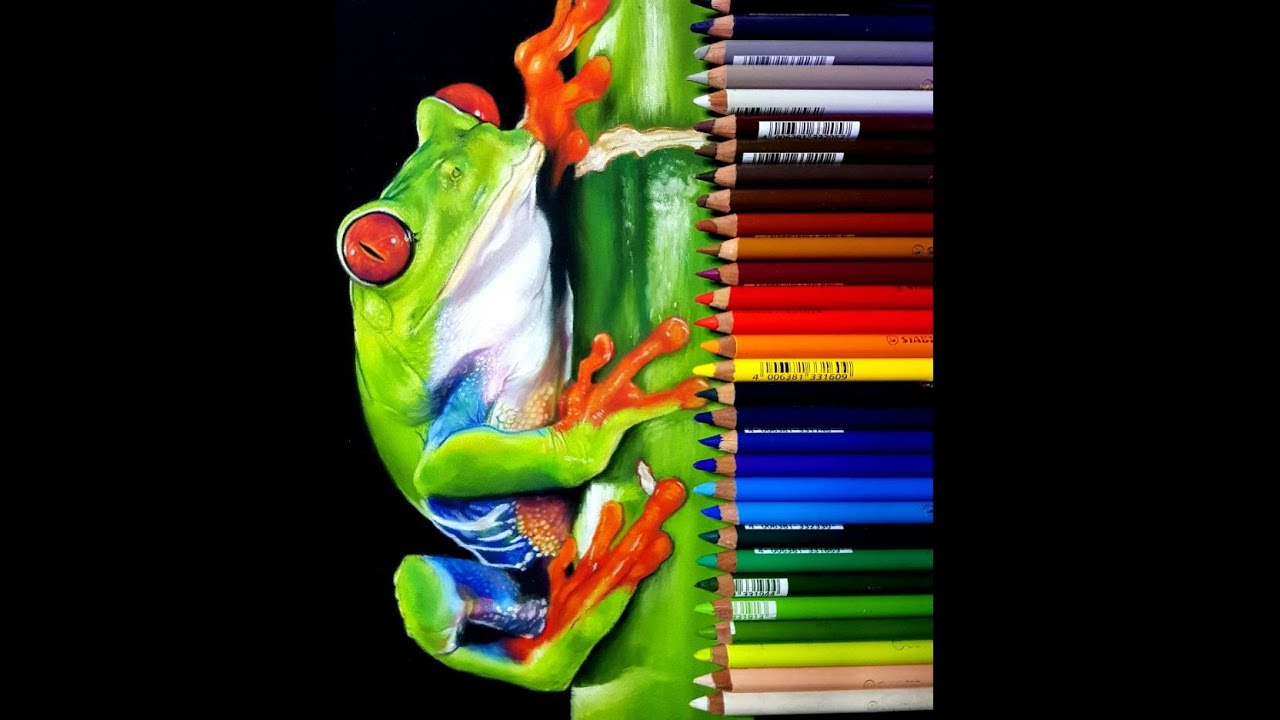 Pastel Painting of a Tree Frog in Timelapse