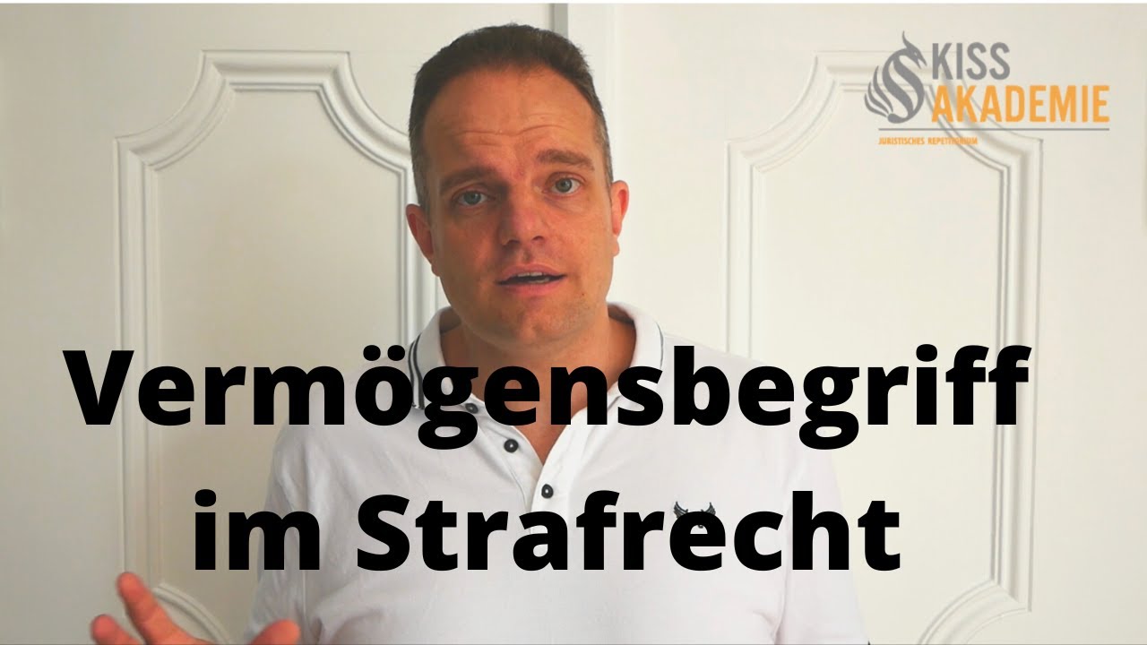 Der Vermögensbegriff im Strafrecht