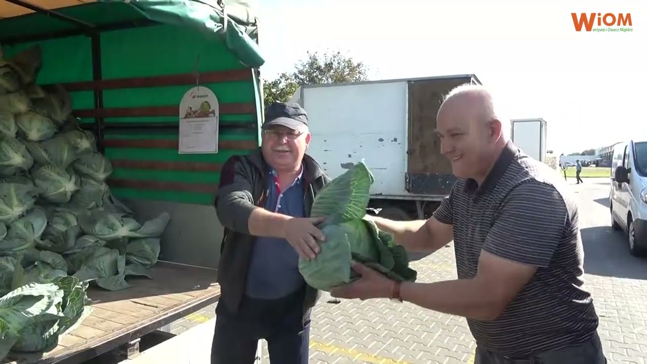 Bronisze: ceny niektórych warzyw szokująco niskie. Nikt nie pyta rolnika, za ile wyprodukował towar