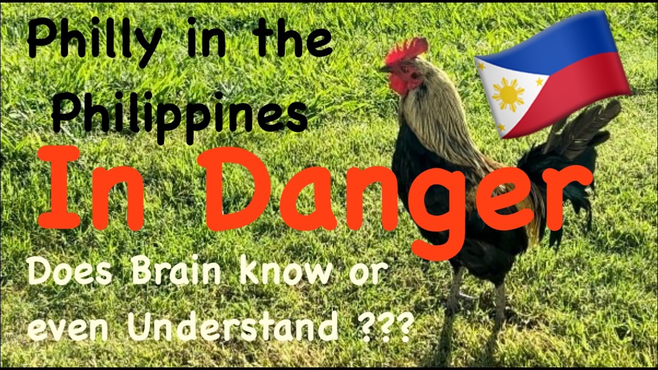 Philly in the Philippines in Danger? Does Brain Kerver understand why his YouTube Channel at risk?