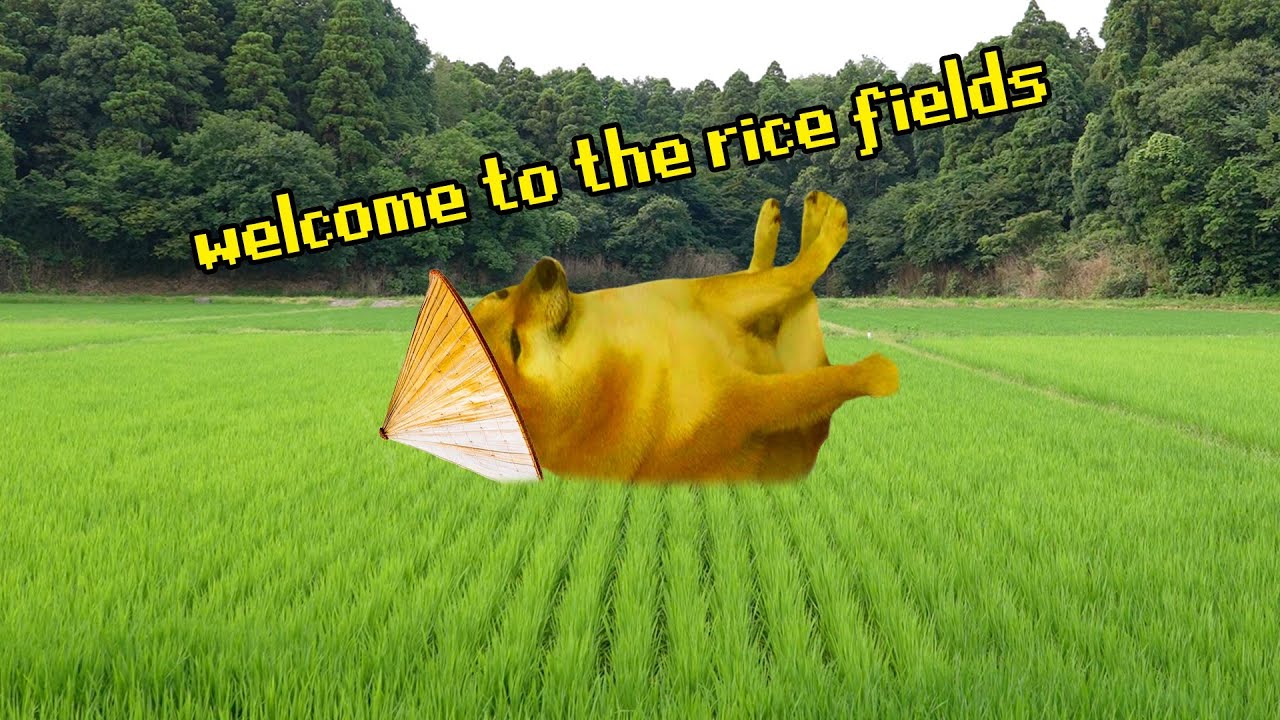 I Found a Cool Place in Japan