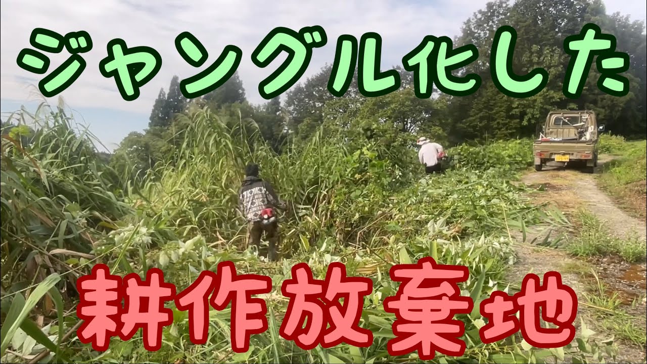 ジャングル化した耕作放棄地の草刈りをしました