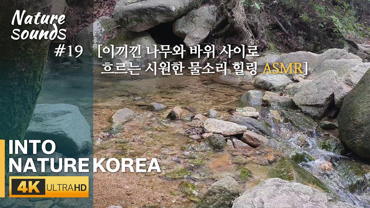 Гора Гванак (Gwanak Mountain) Звук воды среди мшистых камней ┃Природа┃ASMR для сна