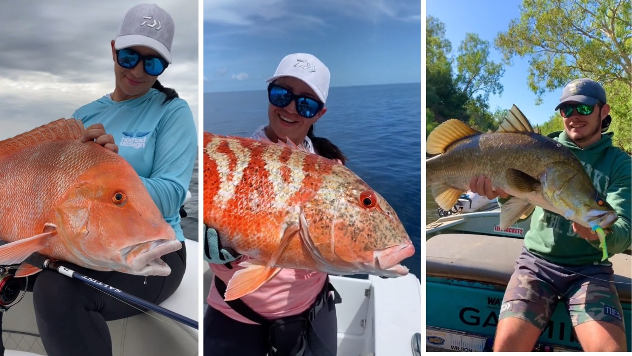 MONSTER FISH! Compilation of Insane Catches | TikTok Compilation