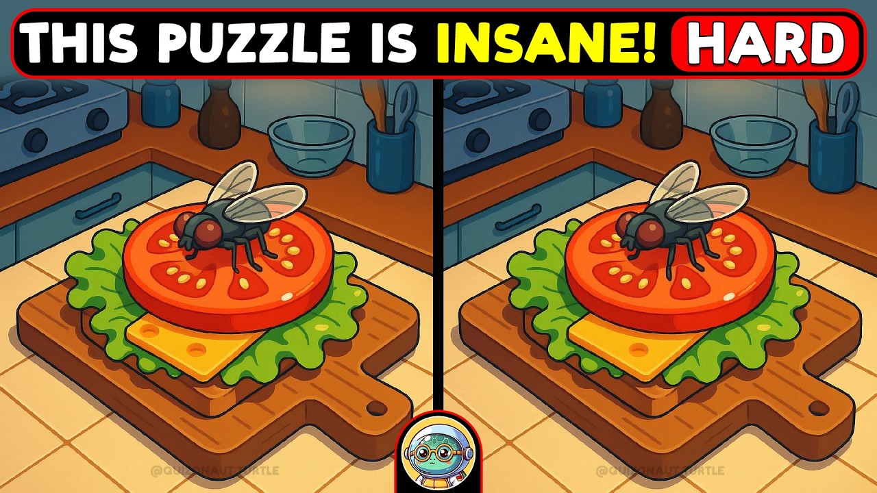 🐢🧩 Spot 3 Differences | Test Your Sharp Eyes 🧩🐢 | Quizonaut Turtle