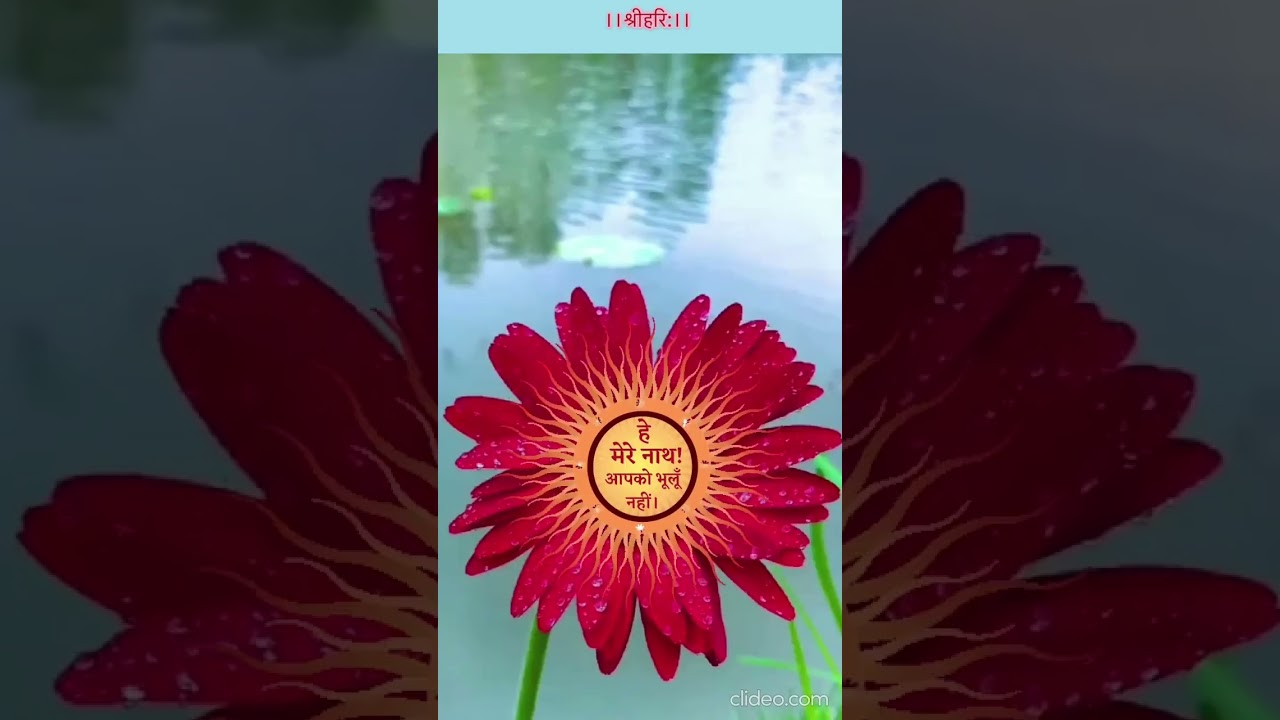 भगवान् के साथ संबंध, स्वामी रामसुखदासजी महाराज 