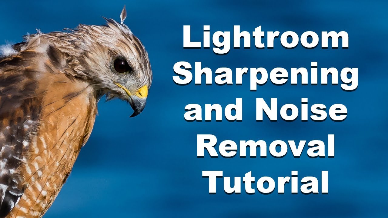 Lightroom Tutorial - Sharpening and Noise Reduction Nikon D500 RAW files.