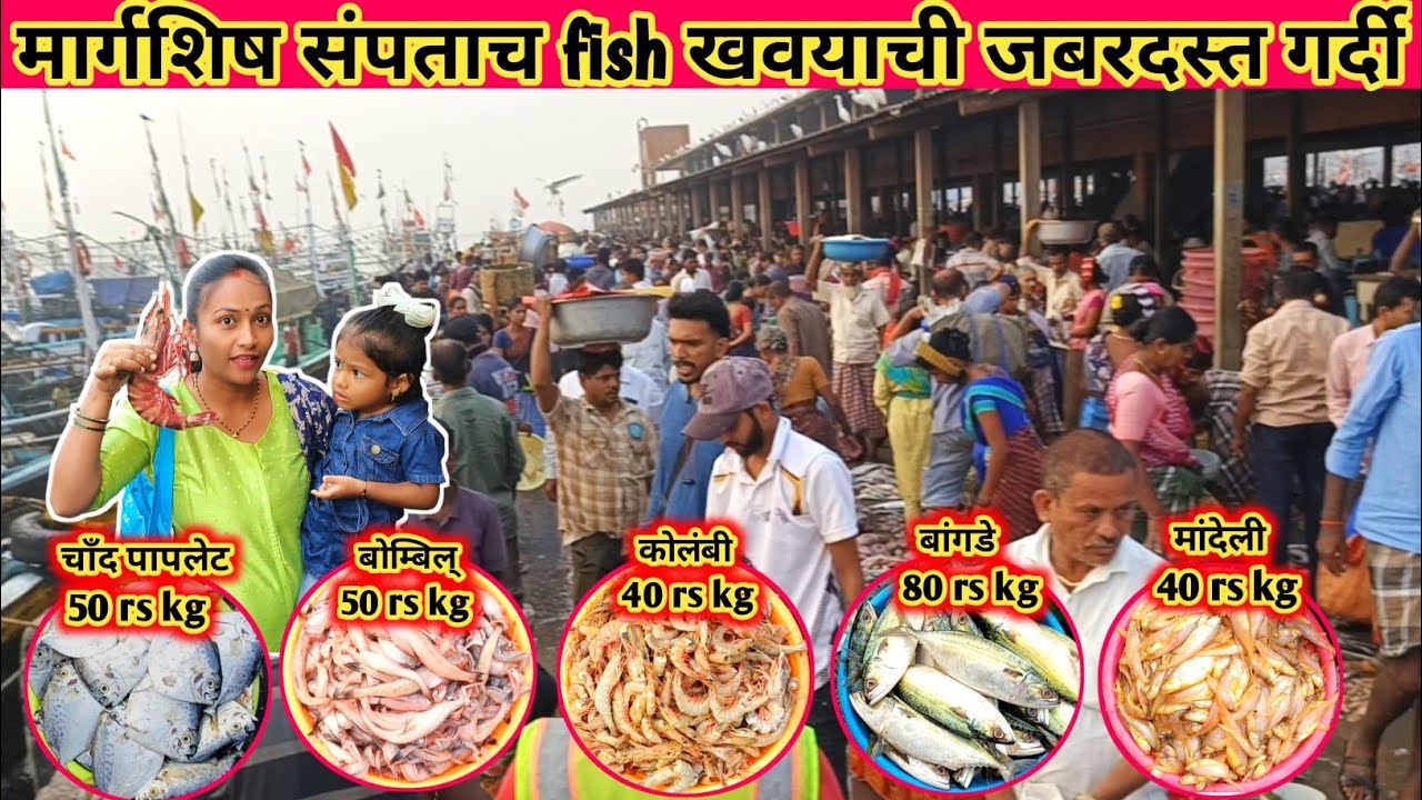 Sassoon Dock Fish Market Latest Video | Colaba Wholesale Fish Market | Colaba Fish Market Mumbai