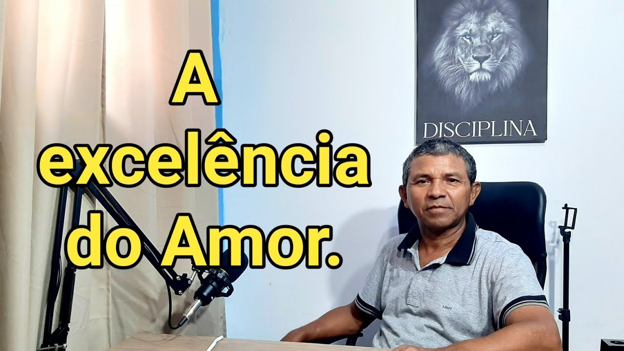 A Excelência do Amor - José Vicente. 