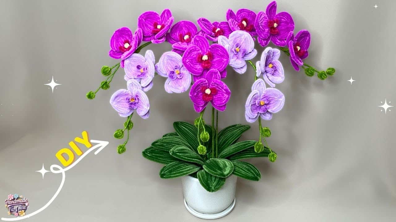 A pot of Phalaenopsis Orchids with Pipe Cleaner💥Try it, you will love it💥Tutorial