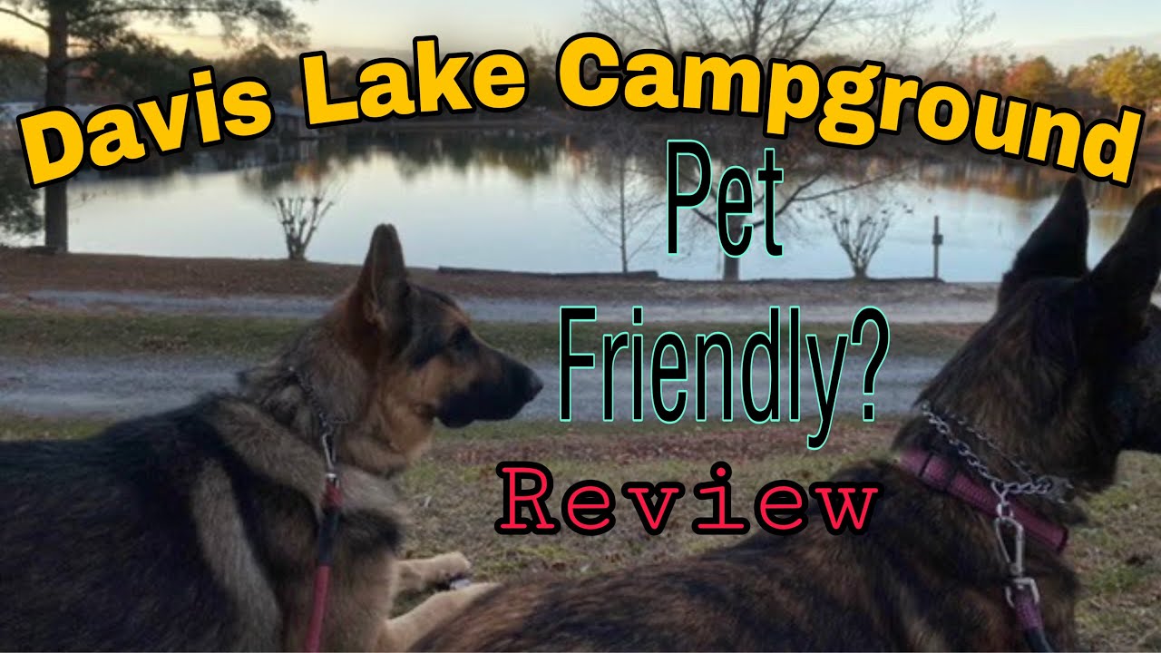 Davis Lakes Campground Suffolk, Va Campground Pet friendly  Review