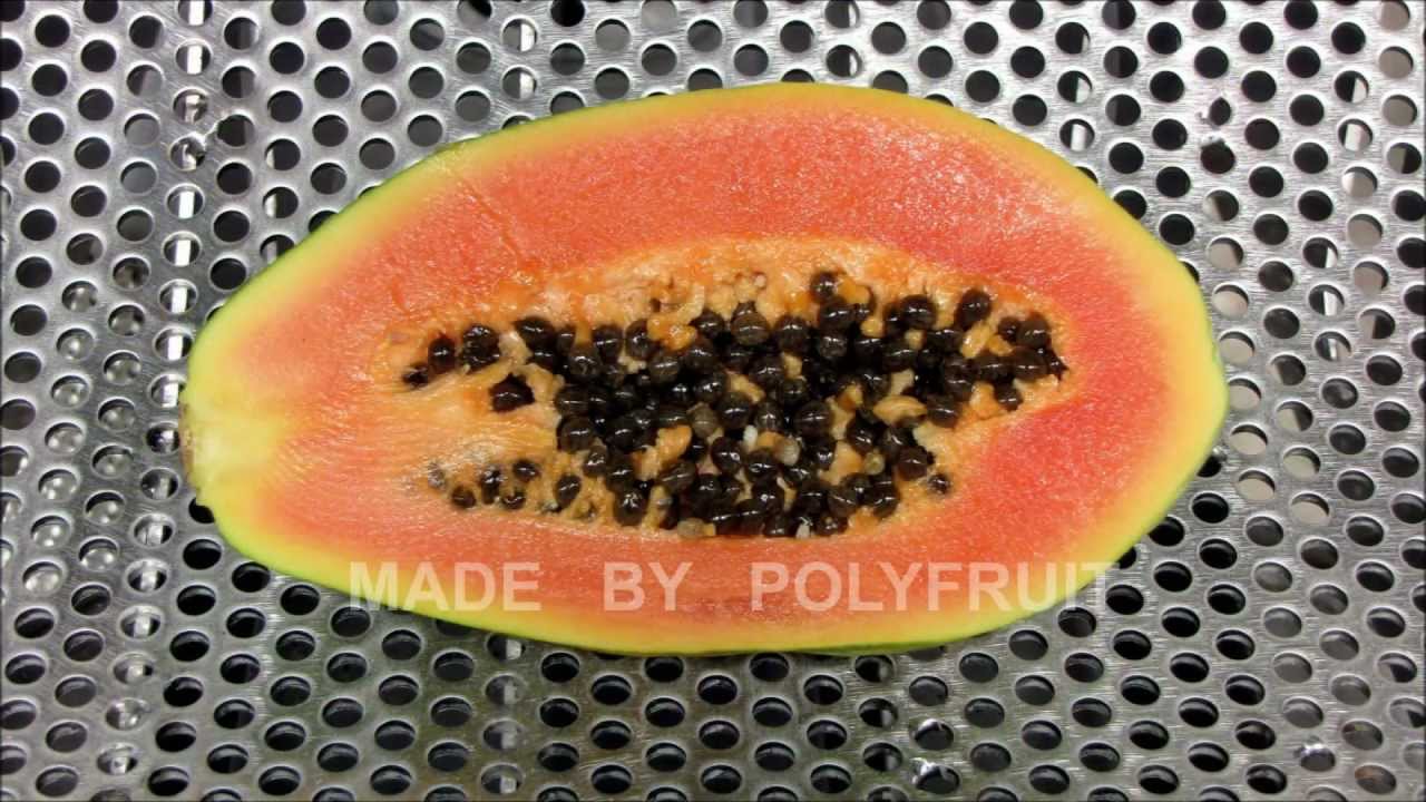 Papaya juice extraction