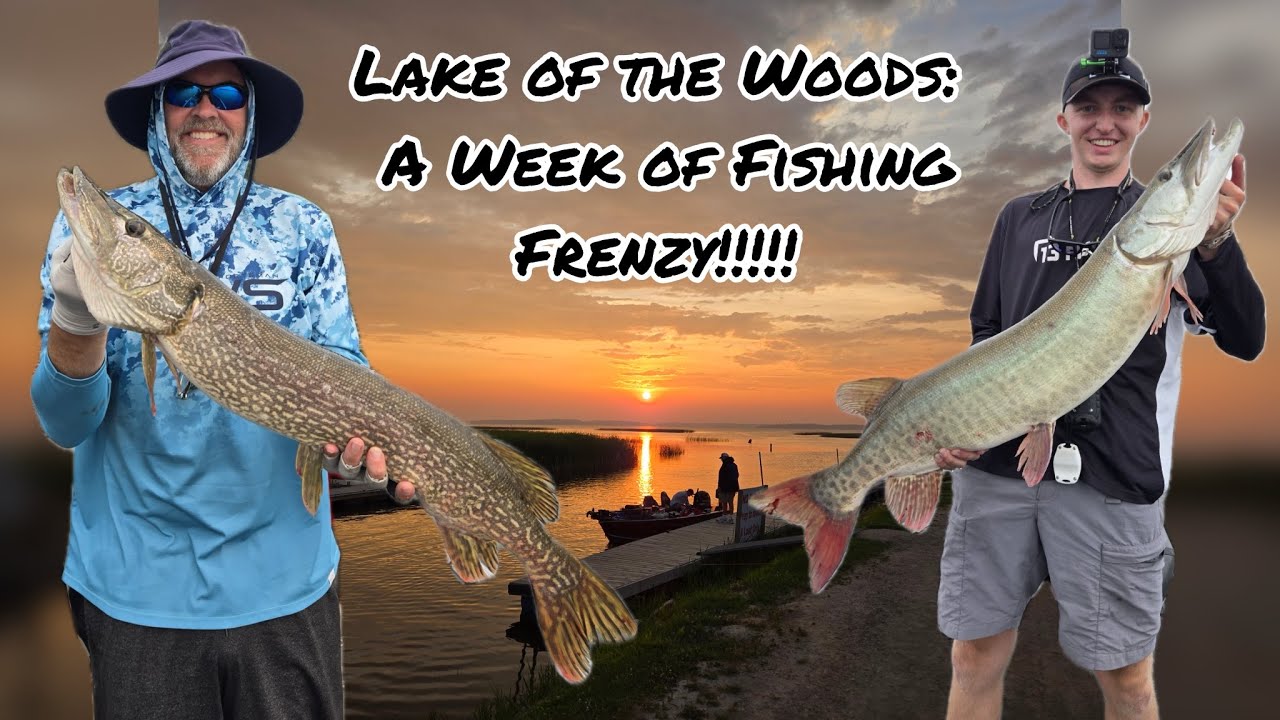 Lake Of The Woods: A Week of Fishing Frenzy!!!!
