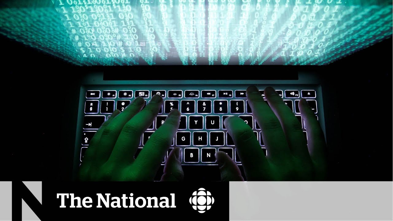 How hate speech is being fought online