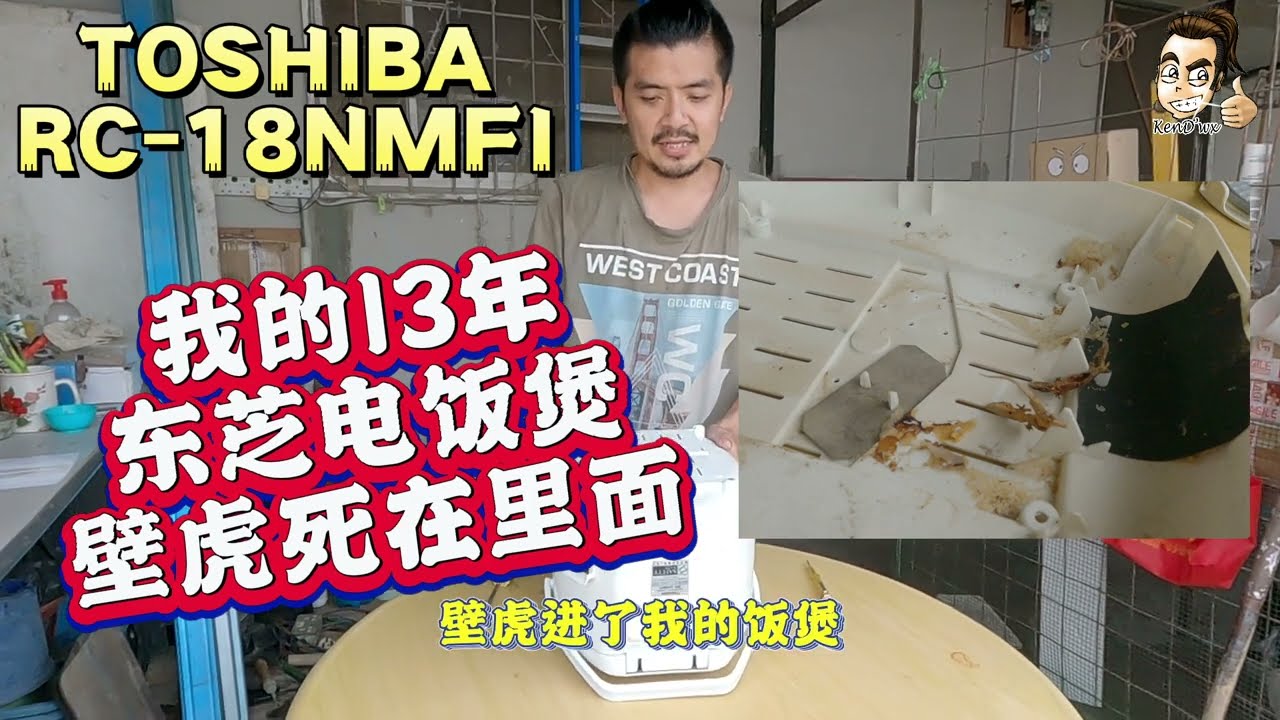 Toshiba RC-18NMFI 我的13年东芝电饭煲壁虎死在里面 A Few Dead lizard Inside My Rice Cooker