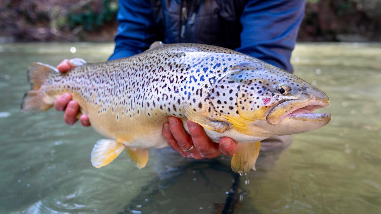 Euro Nymphing is for CHEATERS!
