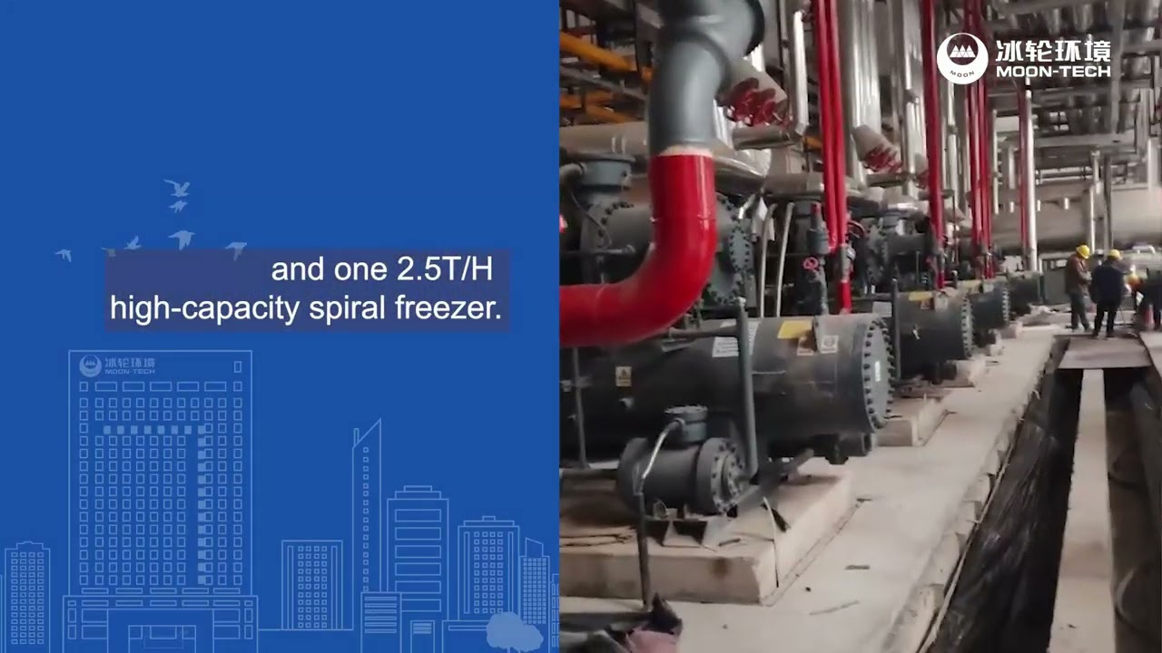 Turnkey Frozen Meat Processing Plant | NH₃/CO₂ Refrigeration System | High-Efficiency & Sustainable