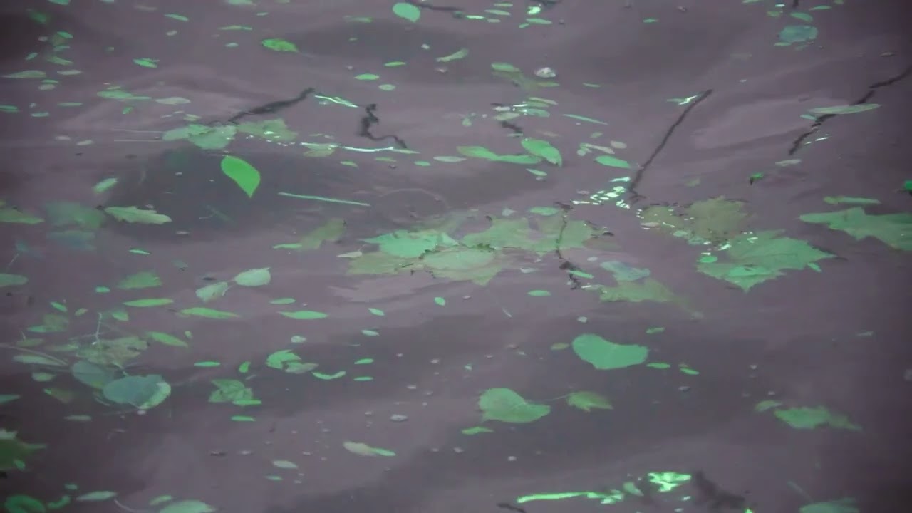 Cinematic Electro-Pop Journey 🌍 | Across So Many Lands (Official Visualizer)