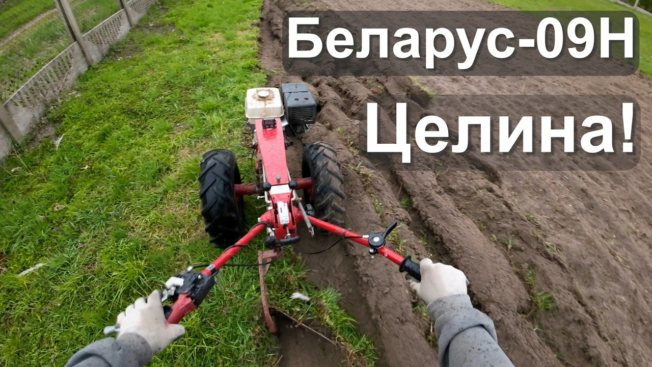 Вспашка и культивирование земли по целине под картофель мотоблоком МТЗ Беларус-09Н сезон 2025 года.
