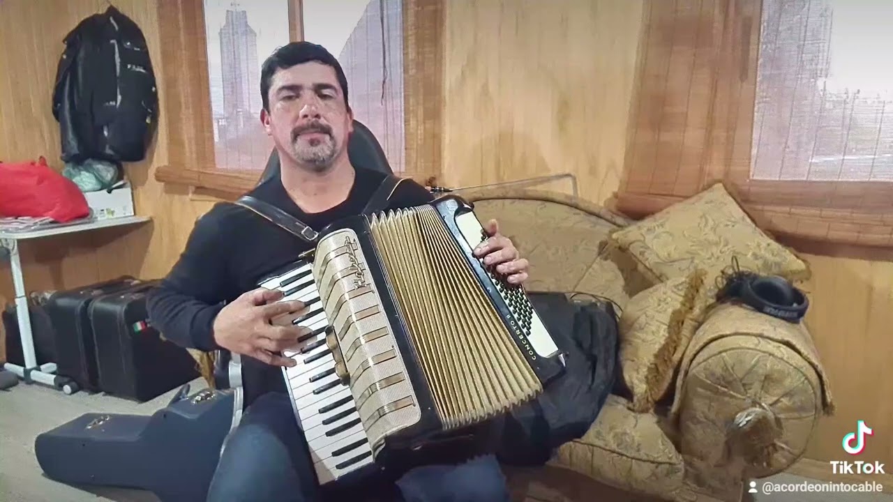 Trigo soy (VENDIDA  hohner concerto ll)