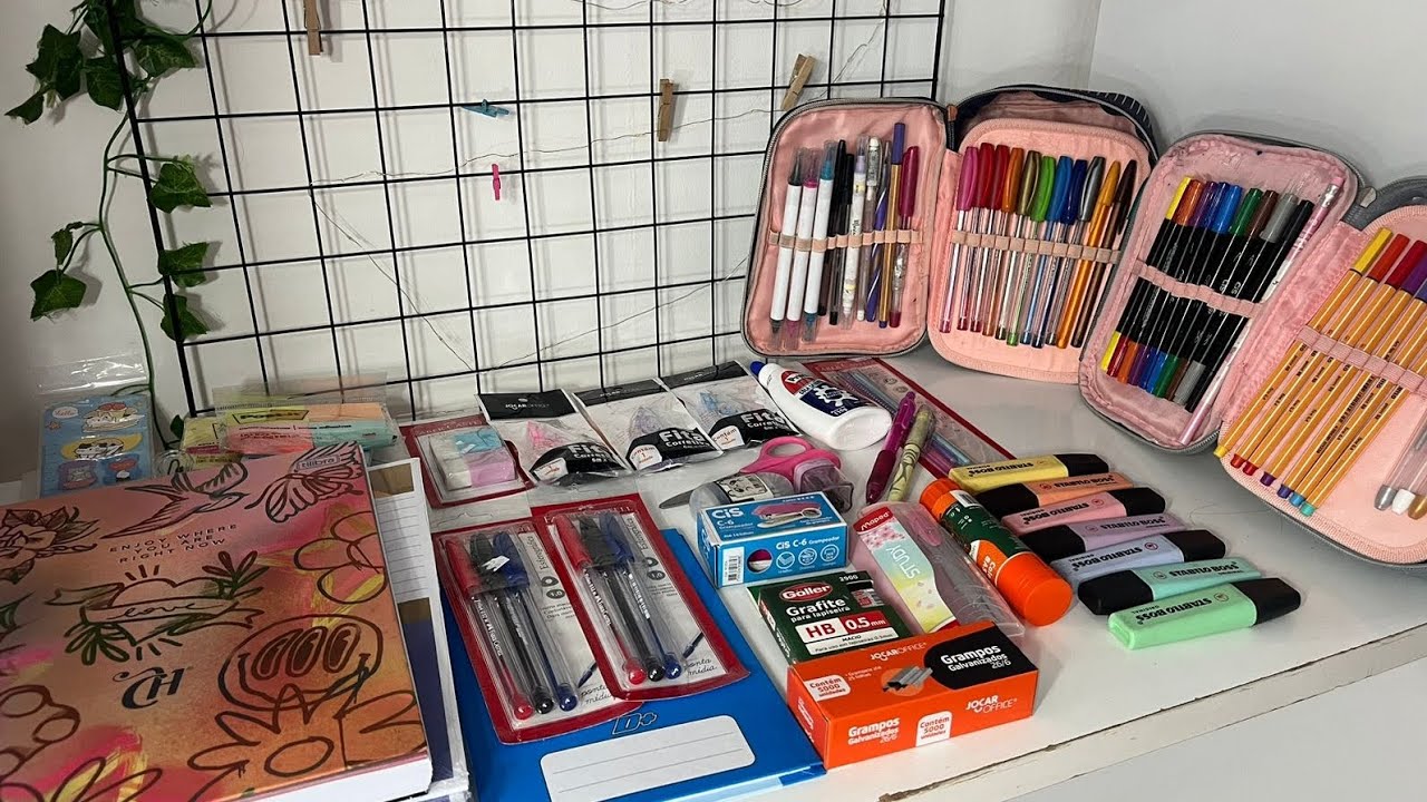 Mostrando o Meu Material Escolar de 2025 📚✂️ *terceirão
