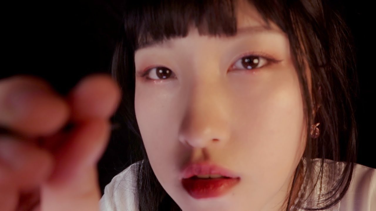 ASMR Camera Cleaning RP ⎢ Camera Brushing 💤