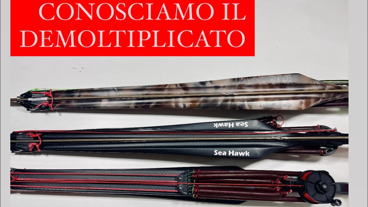Conosci il DEMOLTIPLICATO? Scopriamolo insieme SEAHAWK DEMON. La differenza Roller, Doppio Elastico.