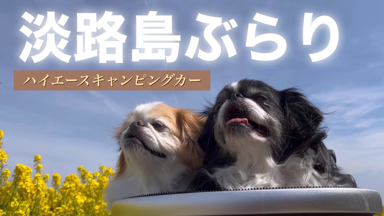 【車中泊旅vlog】ハイエースキャンピングカーで行く春の淡路島ぶらり旅。
