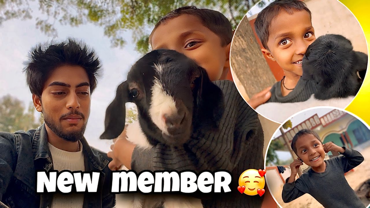 NEW MEMBER 🥰