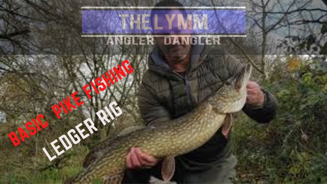 Basic Pike Set up : Beginners Basic Ledger / for Pike fishing
