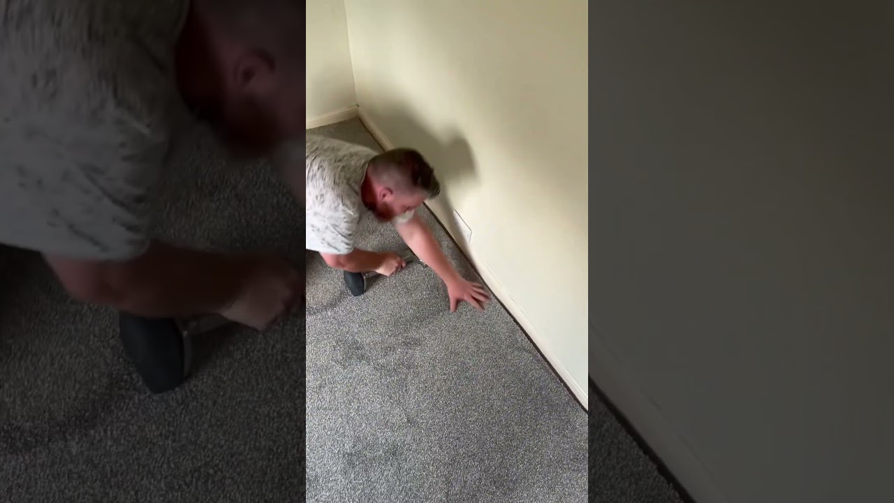 Positioning Carpet with your Knee Kicker ✅ - #flooring #teirnanmccorkell #howto #tips  #carpet