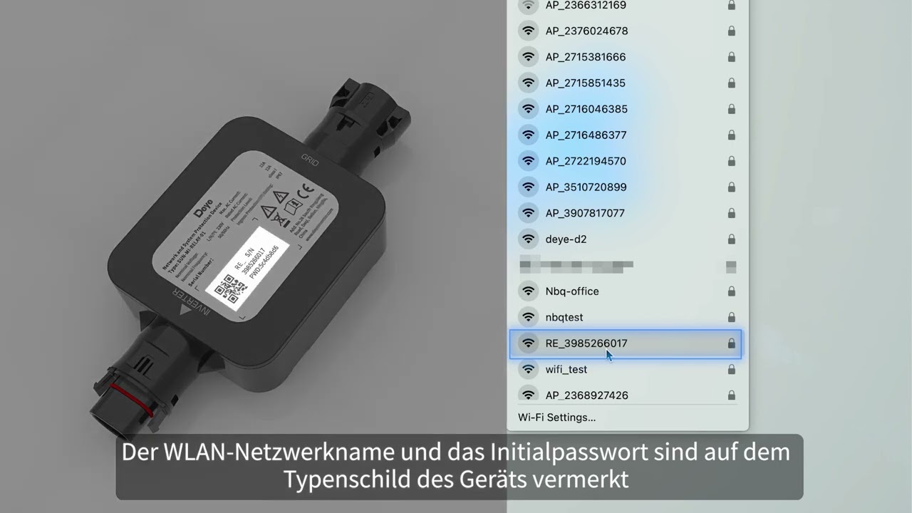 Deye Mikrowechselrichtrsystem# wie Installiert man NA Schutzgerät(Deutsch)