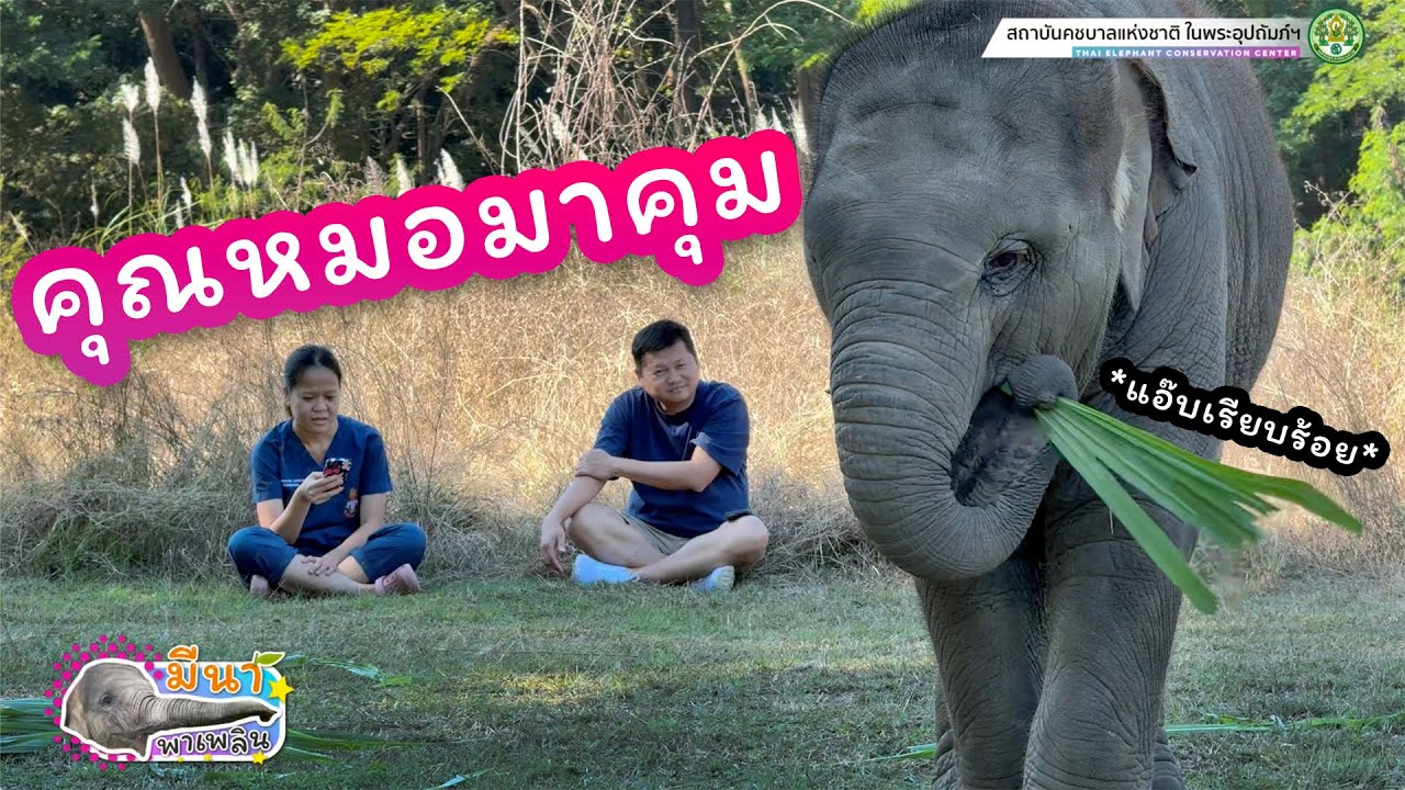 มีนา พาเพลิน 30 ธันวาคม 2567 ทำไมอยู่ต่อหน้าหมอแล้ว ความดีด ความคึกคักน้องหายไปหมดน้าาา