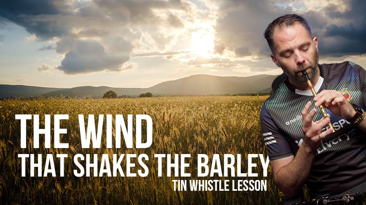 The Wind That Shakes the Barley (Irish reel) tin whistle lesson