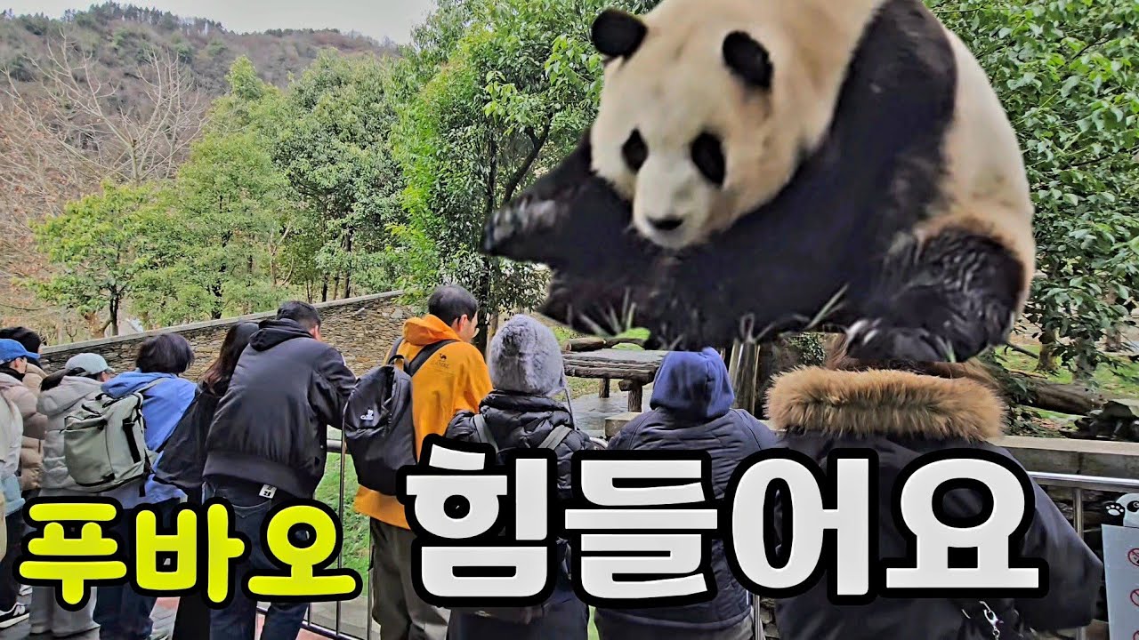26.3.9 오후1 계속 걸으며 에너지 쏟는다고 ㅠ많이 힘들지 아가 ㅠ