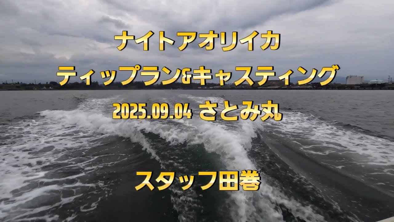 2025年 上越ナイトアオリイカ開幕